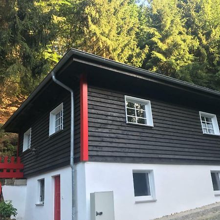 Blockhaus Im Kuckuckswinkel Villa Schöna Eksteriør billede